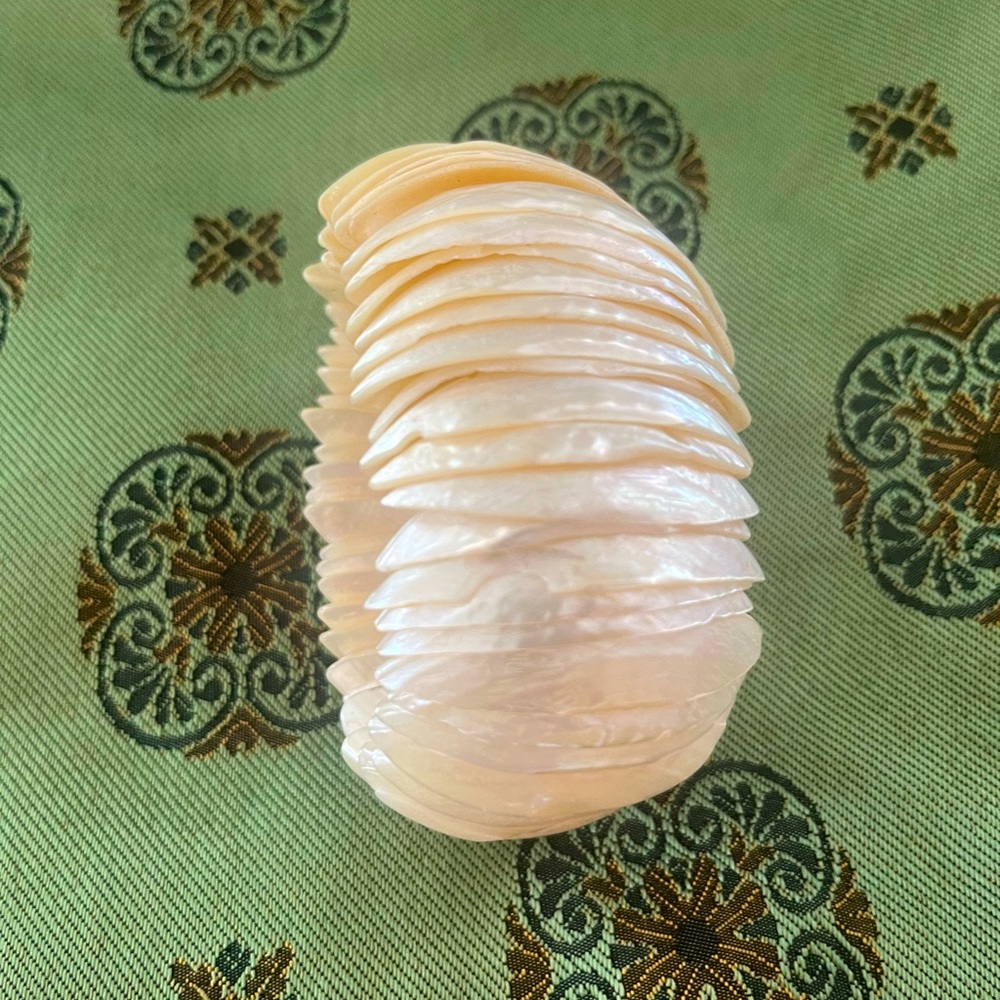Beautiful Mother of Pearl Shell Stretch Statement Bracelet
